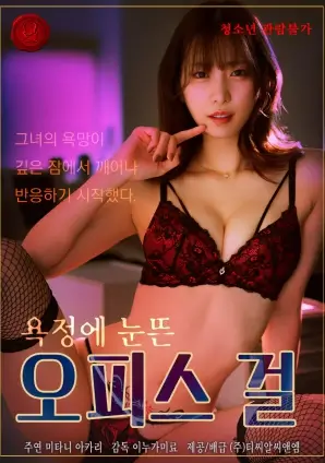山海食堂 治愈美食剧全集在线观看